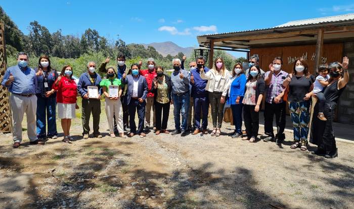 Entregan Sello de Denominación de Origen a productores de aceite de oliva de Freirina y Huasco Bajo