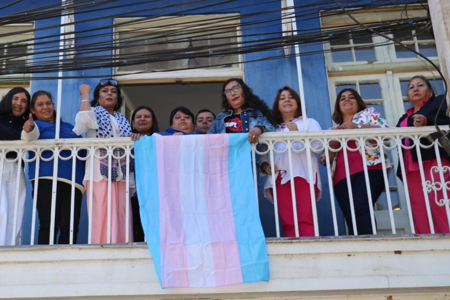 Delegación Presidencial Provincial de Huasco se vistió con la Bandera Trans en su día de conmemoración