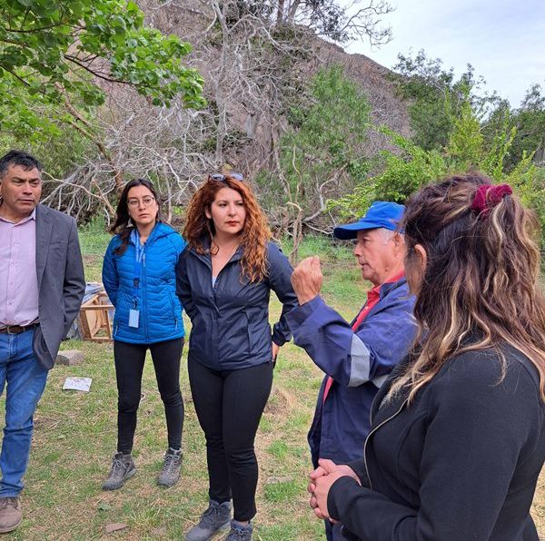 Gobierno restablece conectividad en puntos afectados por rodados en Atacama y realiza balance de afectaciones