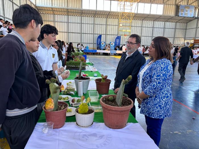 Creatividad y entusiasmo en feria de Ciencias del liceo San Francisco en Vallenar