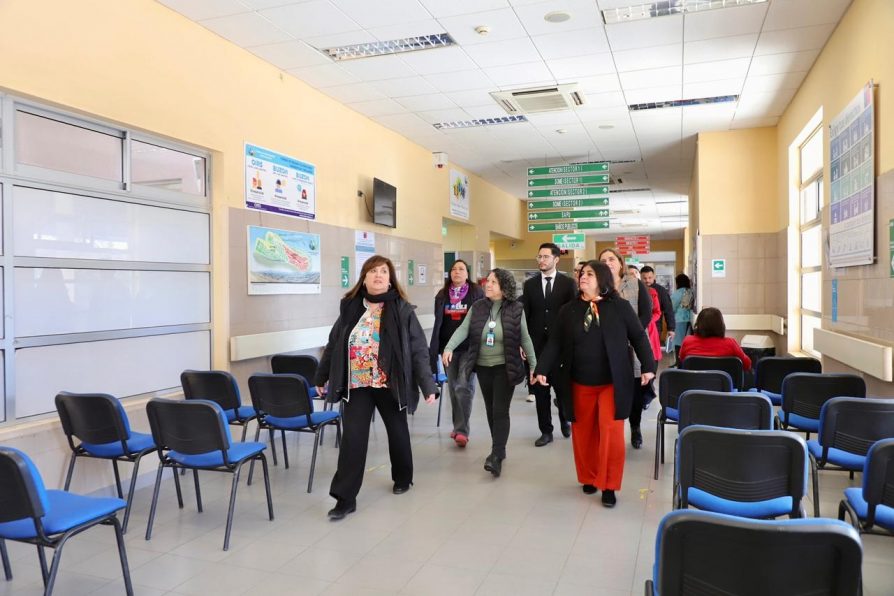 Conocer en terreno de las vulnerabilidades existente en torno a los centros de salud en Vallenar