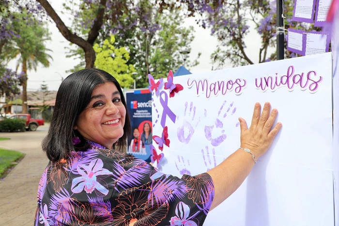 Una jornada de análisis, reflexión y participación ciudadana en la conmemoración del Día Internacional de la No Violencia contra las Mujeres en Vallenar