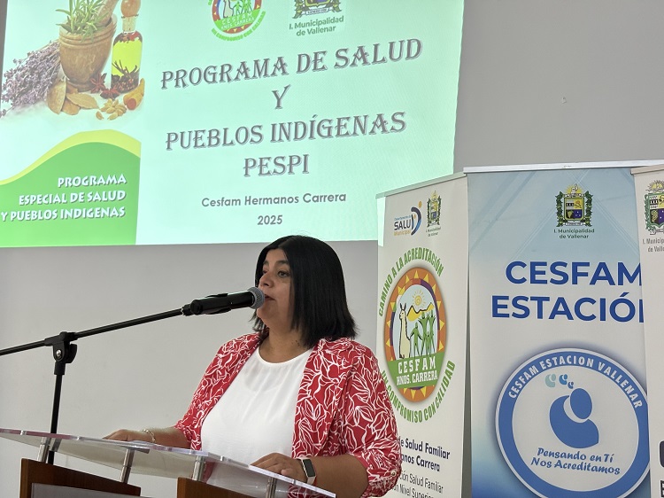 Jornada de participación ciudadana con representantes de pueblos indígenas en Vallenar.