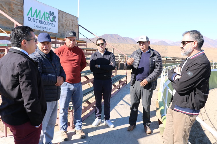 Una planta faenadora para la provincia manifiestan representantes del sector ganadero y forrajero del Huasco