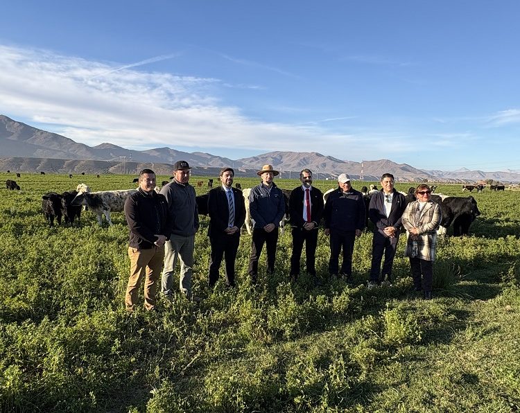 Proyecto para instalar planta faenadora en la provincia de Huasco espera ser analizado con la participación de autoridades locales y regionales