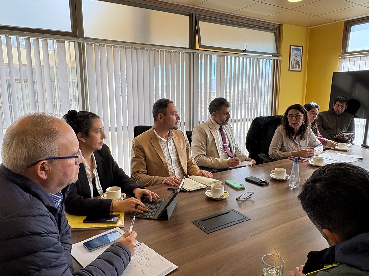 Gobierno coordina acciones para enfrentar la amenaza del quintral en la producción olivícola de la provincia del Huasco